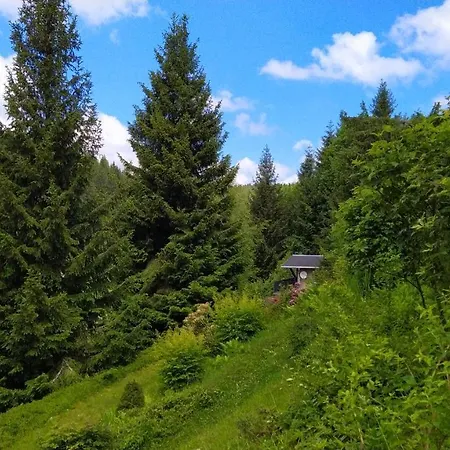 Guest house Greizer Kammhuette Gaststaette & Klingenthal