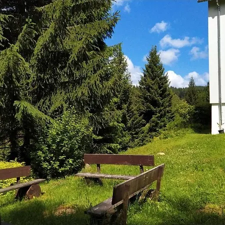 Penzion Greizer Kammhuette Gaststaette & Klingenthal