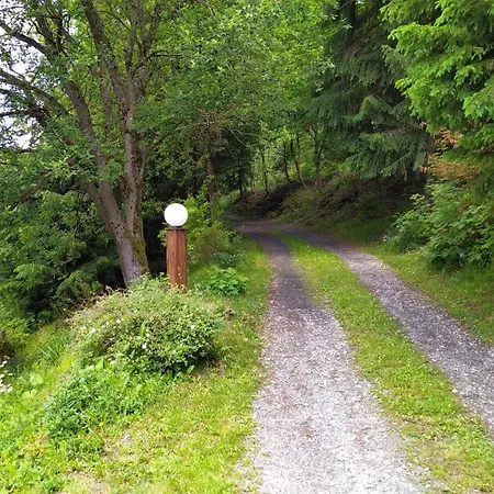 Greizer Kammhütte Gaststätte&pension Gasthof Klingenthal
