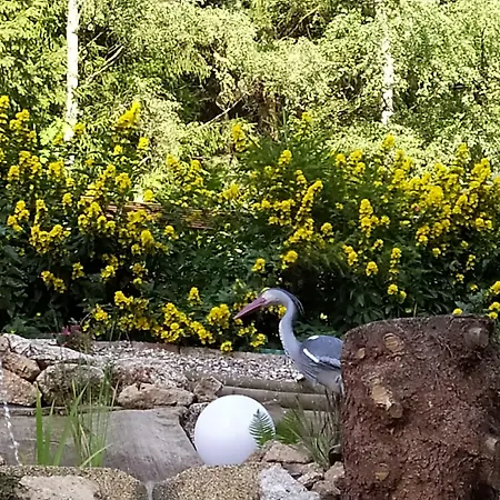 Greizer Kammhütte Gaststätte&pension 3* Klingenthal