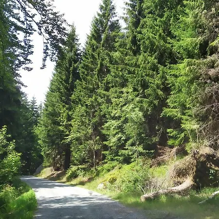 Greizer Kammhütte Gaststätte&pension