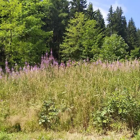 Greizer Kammhütte Gaststätte&pension Gasthof