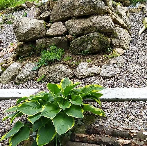 Greizer Kammhuette Gaststaette & 3*