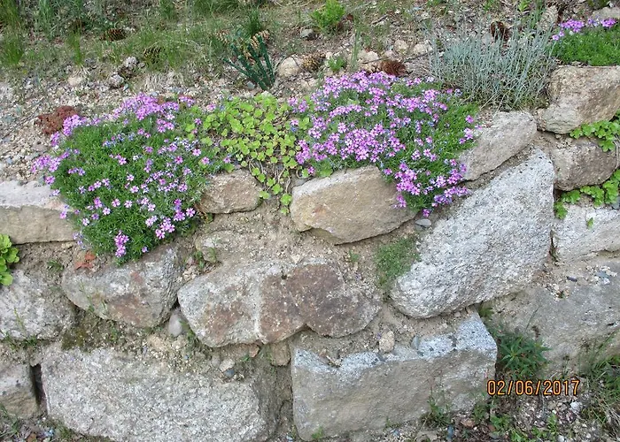 Greizer Kammhuette Gaststaette & 3*