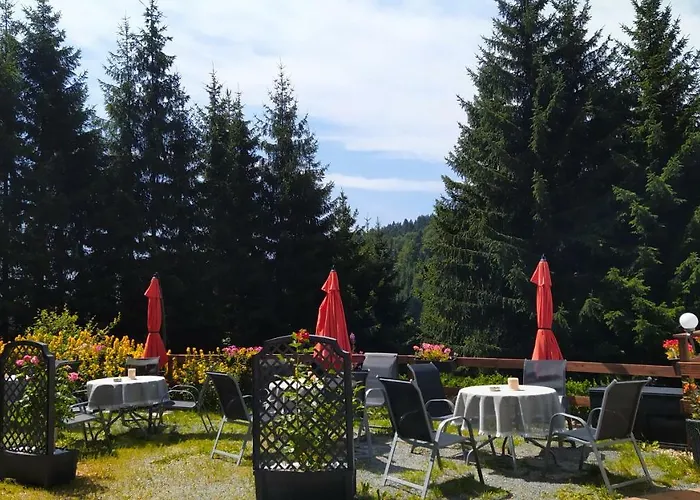 Greizer Kammhuette Gaststaette & 3*