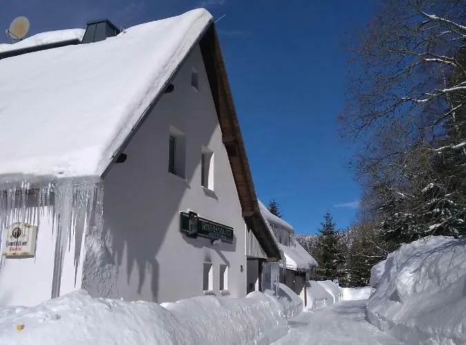 Greizer Kammhütte Gaststätte&pension 3* Klingenthal