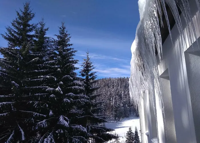 Pensión Greizer Kammhütte Gaststätte&pension