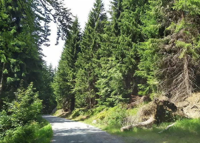 Greizer Kammhuette Gaststaette &