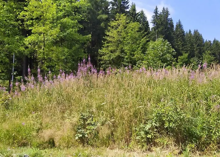 Greizer Kammhuette Gaststaette & بيت ضيافة