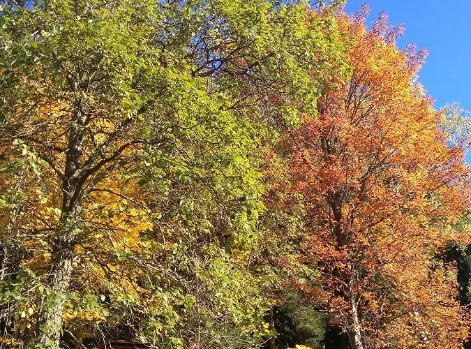 Greizer Kammhuette Gaststaette & 3* كلينغنتال